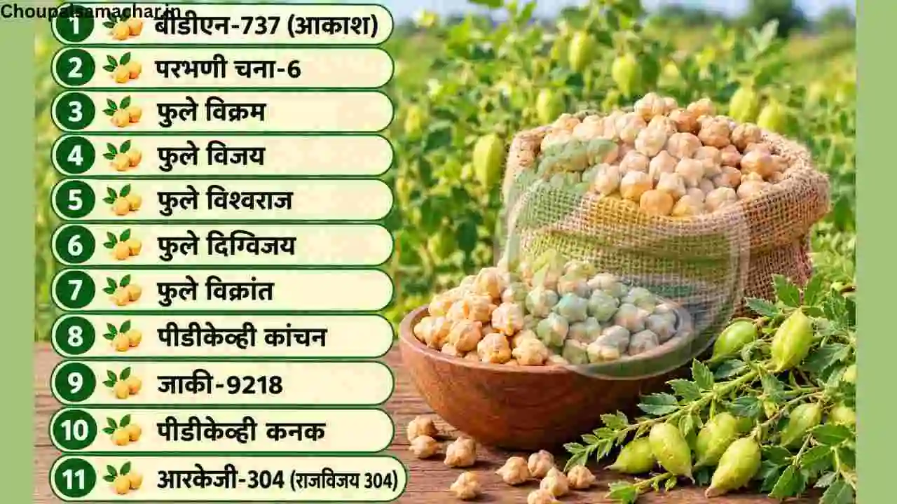 Improved Varieties Of Gram