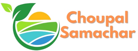 chopalsamachar.in